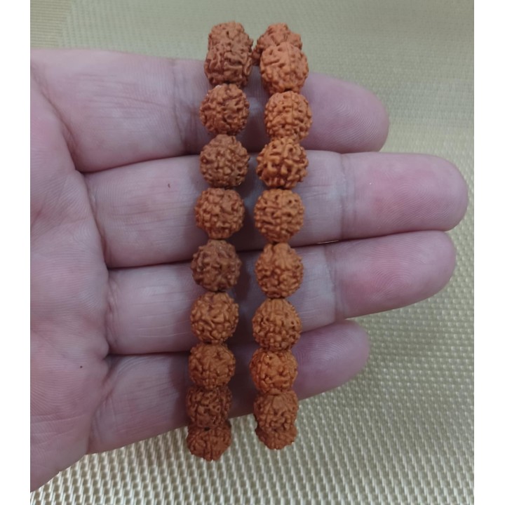 Rudraksha
