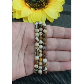 Jaspe Zebra Australiana