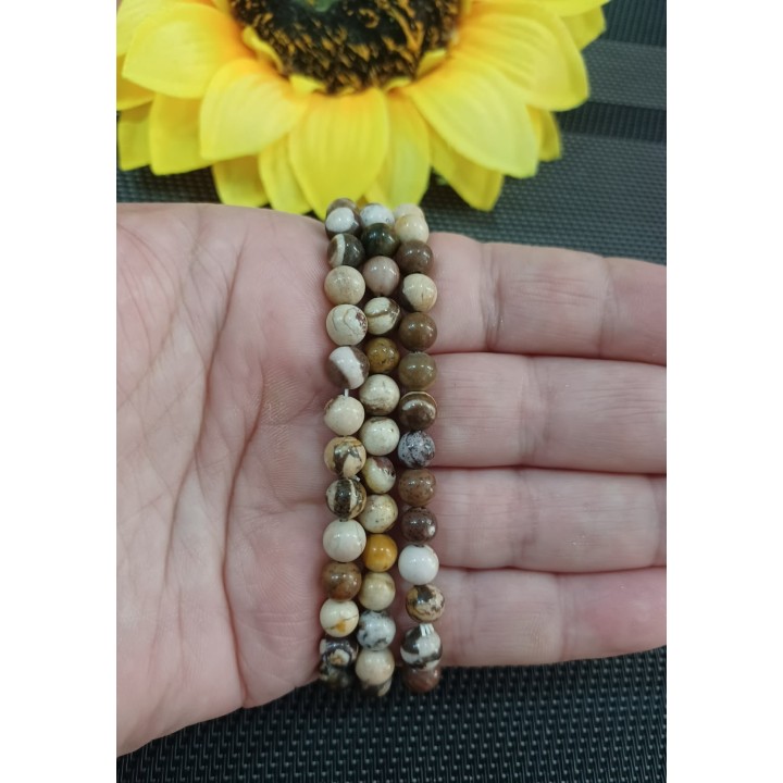 Jaspe Zebra Australiana